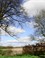 Doorkijkjes in Landgoed Mariënwaerdt