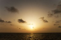 Zonsondergang in op de maasvlakte