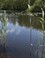 Naardermeer