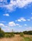 Schapen wolken bo0ven naardermeer weilanden