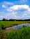 Uitzicht op de grazige weide