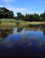 landschap