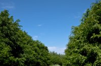 landschap, Nieuw Wulven, Unal Uzun