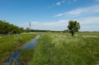 Polders langs het natuurgebied Nieuw Wulven, Nieuw Wulven