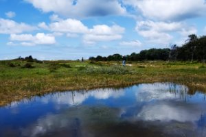 Landschap