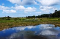 Landschap