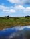 Landschap