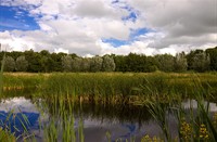 landschap