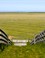 landschap 