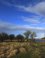 Landschap