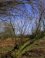 Landschap