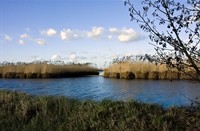 landschap