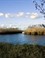 landschap