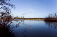 landschap