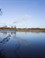 landschap