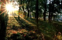 Landschap