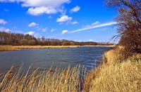 landschap