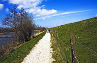 landschap