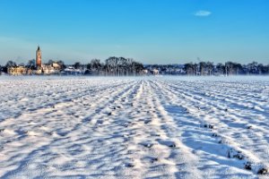 Landschap (winter)