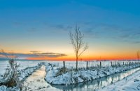 Landschap Polder, Amerongse Bovenpolder, Landschap Polder