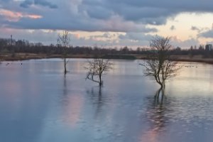 Landschap foto in avonduren