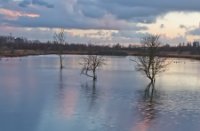 Landschap foto in avonduren