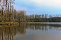 Landschap