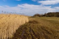 Landschap