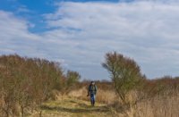 Landschap