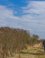 Landschap
