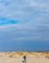 Landschap