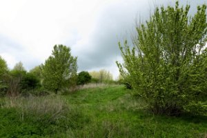 Landschap