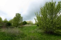 Landschap
