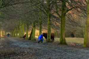 Midden Delfland Broekpolder
