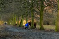 Midden Delfland Broekpolder, Midden Delfland Broekpolder, Midden Delfland Broekpolder
