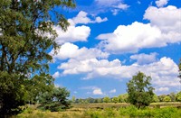 landschap