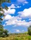 landschap