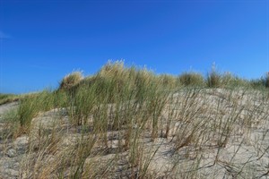 De Slufter - Texel