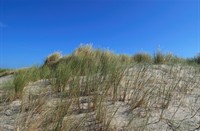 De Slufter - Texel