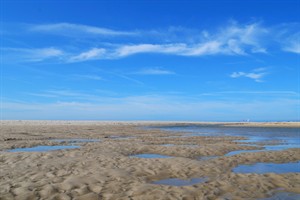 De Slufter - Texel