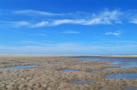 De Slufter - Texel