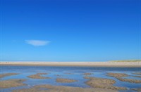 De Slufter - Texel