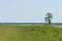 Tiengemeten