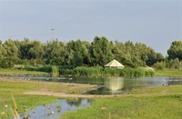Oostvaardersplassen, Oostvaardersplassen