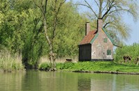 Biesbosch
