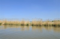 Biesbosch