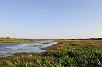 Bollekamer - Texel, Nationaal Park Duinen van Texel