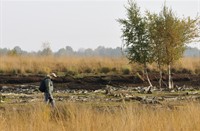 Bargerveen, Bargerveen