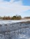 Biesbosch