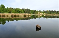 Ravennen - Limburg, Ravennen - Limburg